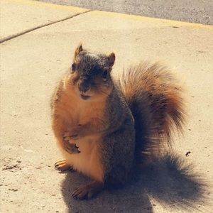 Meet your Posher, Jared